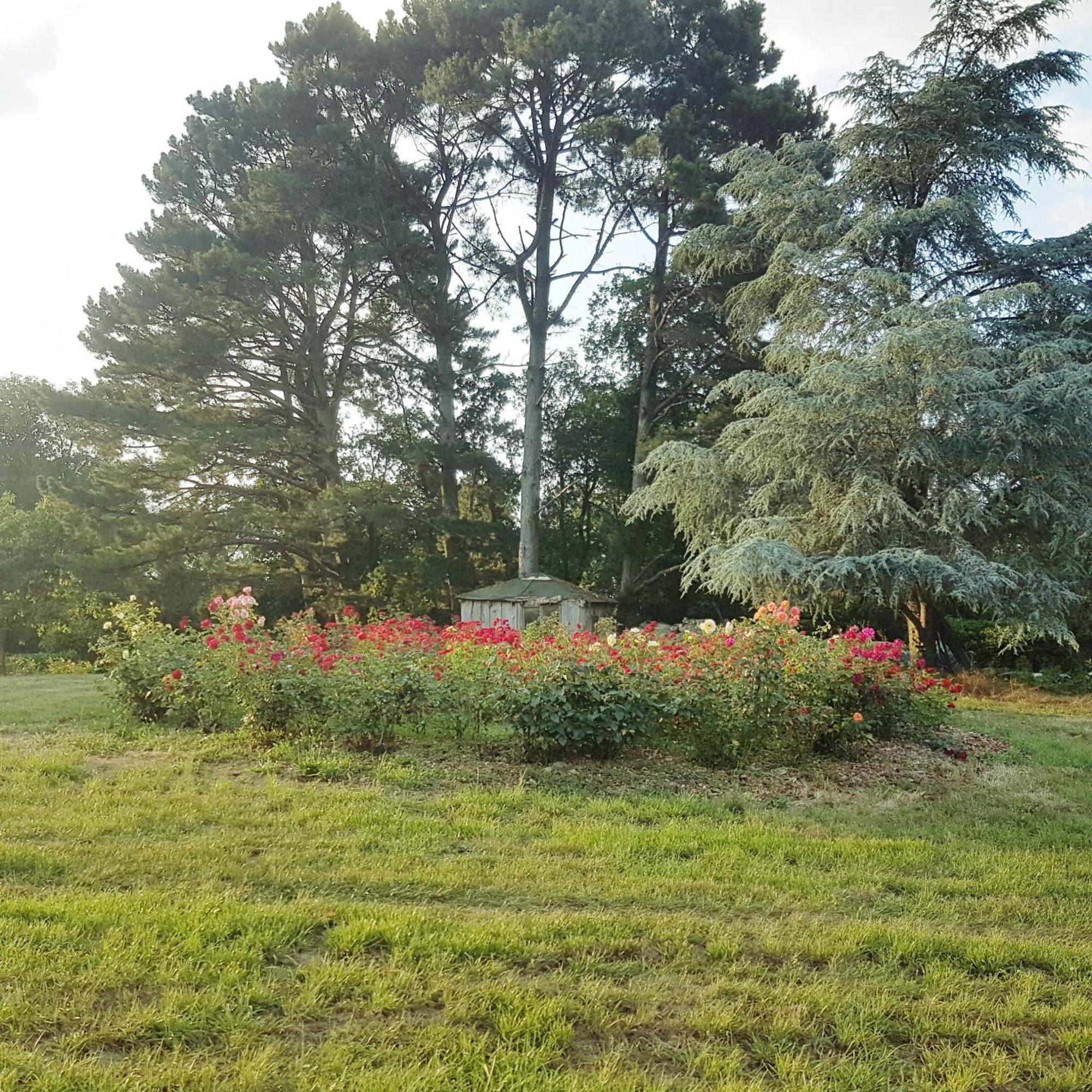 Domaine De La Chesnaie Bed & Breakfast Жослен Екстериор снимка