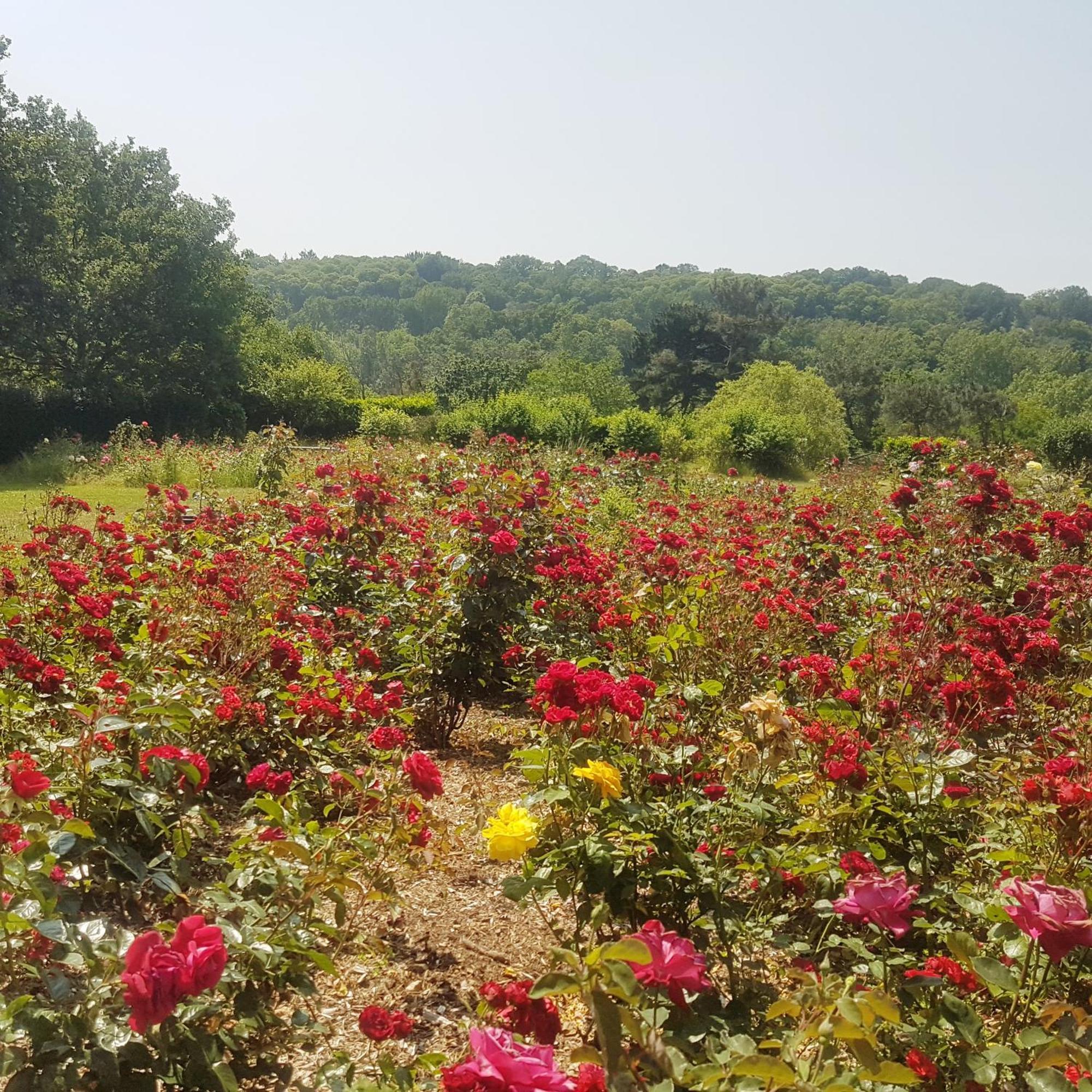 Domaine De La Chesnaie Bed & Breakfast Жослен Екстериор снимка